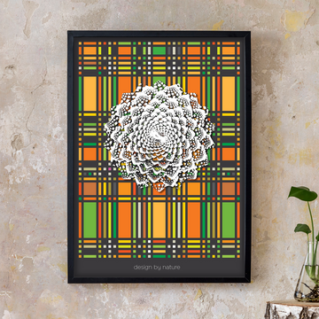 Design by Nature - BROCCOLI - Eye of the Beholder - Fine Art Print