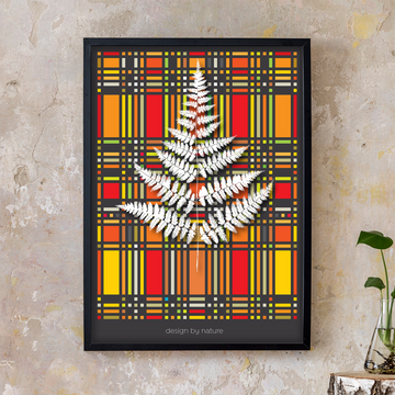 Design by Nature - FERN - Eye of the Beholder - Fine Art Print