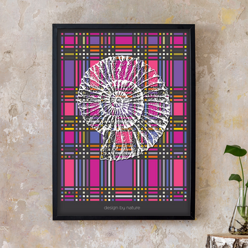 Design by Nature - AMMONITE - Eye of the Beholder - Fine Art Print