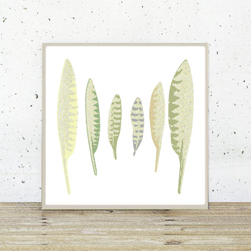Curlew Feathers - Fine Art Print
