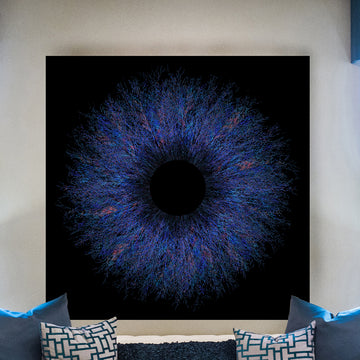 Feathered Eclipse - Fine Art Print