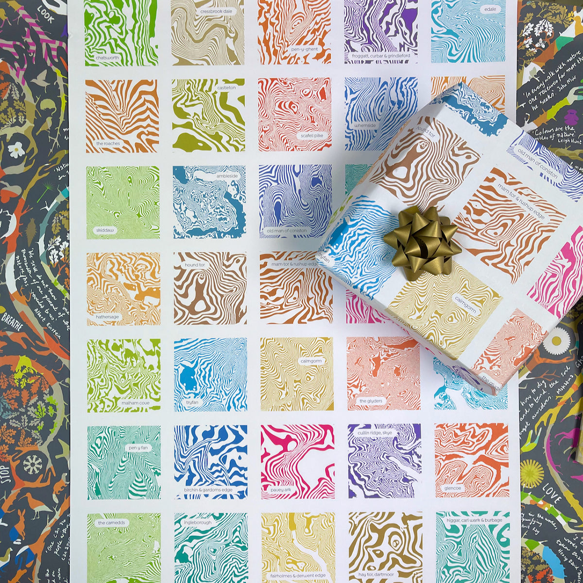 Contour Range - Wrapping Paper - 3 Sheets – Park Designs