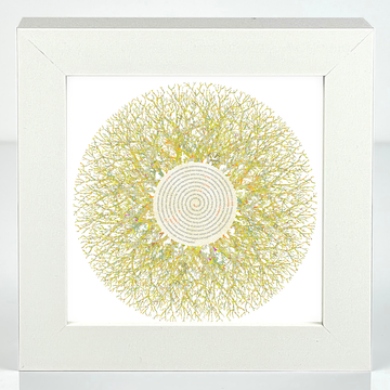 Eyes of Nature - Mini Print Set of 3