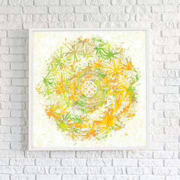 Sphagnum Sun - Fine Art Print